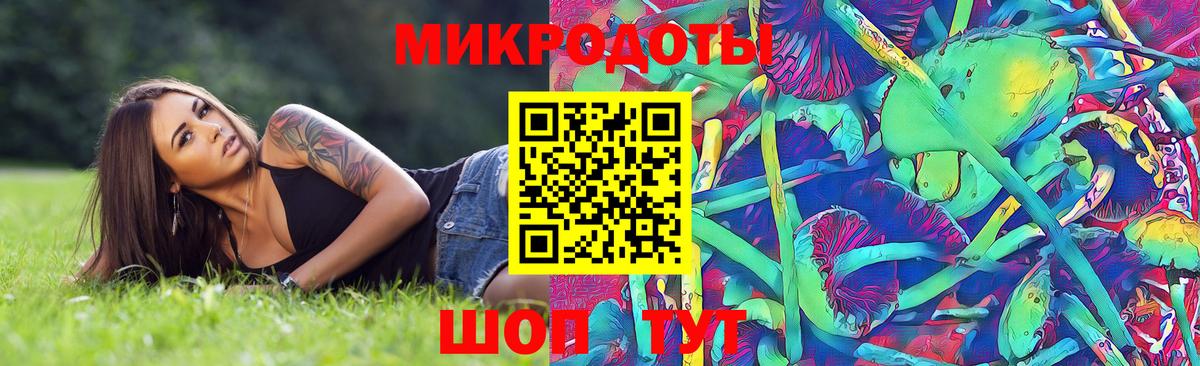 Галлюциногенные грибы Psilocybe  Вход с VPN  Галлюциногенные грибы Psilocybine cubensis  Феодосия 